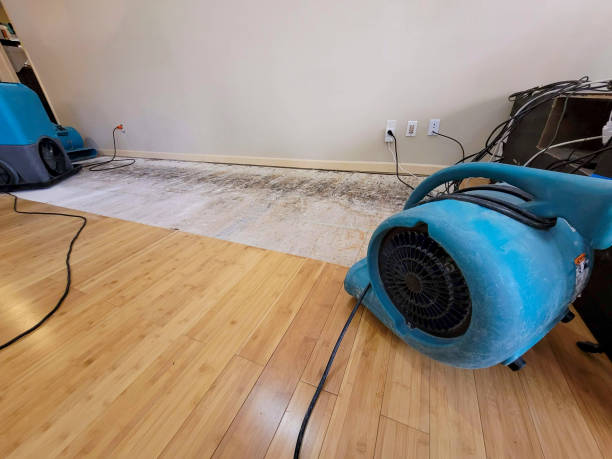 Professional Ceiling Water Damage Repair technician working in Wimbledon, ND